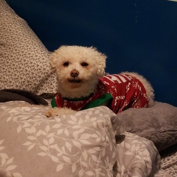 Meet your Posher, Taylor - Picture 3 of 3